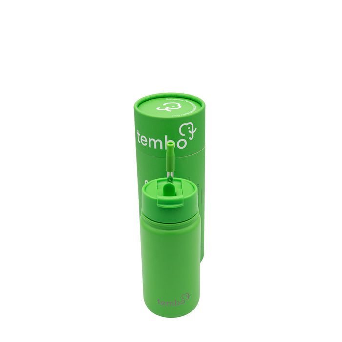 Tembottle Trisolation – Dreifach Isolierte Edelstahlflasche in Grün - 450ml
